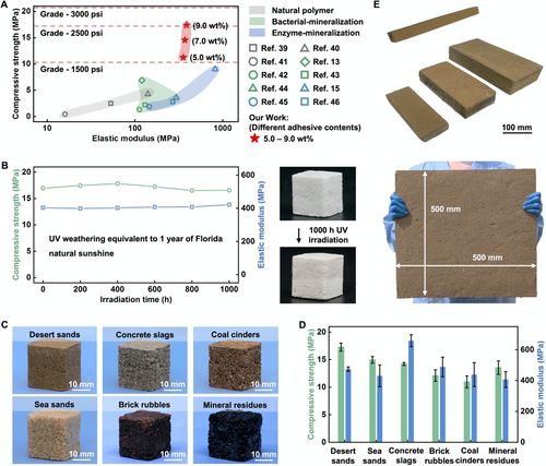 受沙塔蠕虫巢穴启发的仿生低碳新型建筑材料及其智能化系统设计